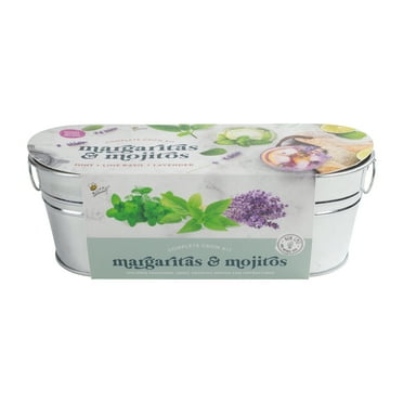 Buzzy Cocktail Garden Windowsill Grow Kit - Guaranteed to Grow