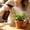 🔥 Brown, variant on Msgweeeg Flower Watering Can Large Watering Can Plastic Spray Bottle Fine Mist 400ml Mist Stream Refillable Reusable Portable Sprayer Leaks Proof for Household Use Cleaning Solution