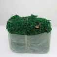 thumbnail image 1 of Artificial Dried Moss Decor Flower Hanging Baskets Plant - Green, 1 of 9