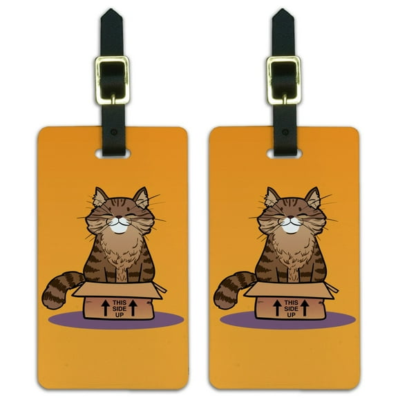 Cat Sitting in Box Luggage ID Tags Suitcase Carry-On Cards - Set of 2