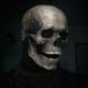thumbnail image 2 of Máscara de cabeza completa de Halloween Yuyangstore casco de látex realista para Adultos esqueleto aterrador Color oscuro, 2 of 8
