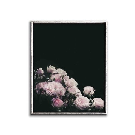POSTER Soft Pink Rose Art, Flower Photo, Dark Background Rose Wall Art, Dreamy Photography Pink 11x14 Flower Print-UNFRAMED