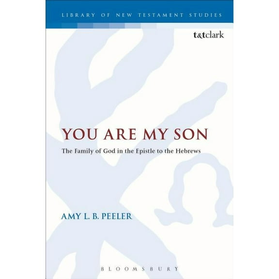 Library of New Testament Studies You Are My Son: The Family of God in the Epistle to the Hebrews, (Hardcover)