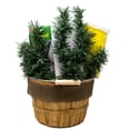 thumbnail image 4 of Camping Essentials Gift Basket, 4 of 7