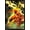 Black Framed Version, variant on DC Comics - The Flash - Spears Wall Poster, 14.725" x 22.375", Framed
