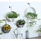 thumbnail image 4 of Paquete de 2 colgadores de pared de 2,5 pulgadas, ganchos para plantas, ganchos de pared para plantas, luces, jardineras, linternas, comederos colgantes para pájaros, campanillas de viento, 4 of 5