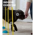 thumbnail image 5 of Outward Hound Dog Agility Starter Kit Indoor, 5 of 9