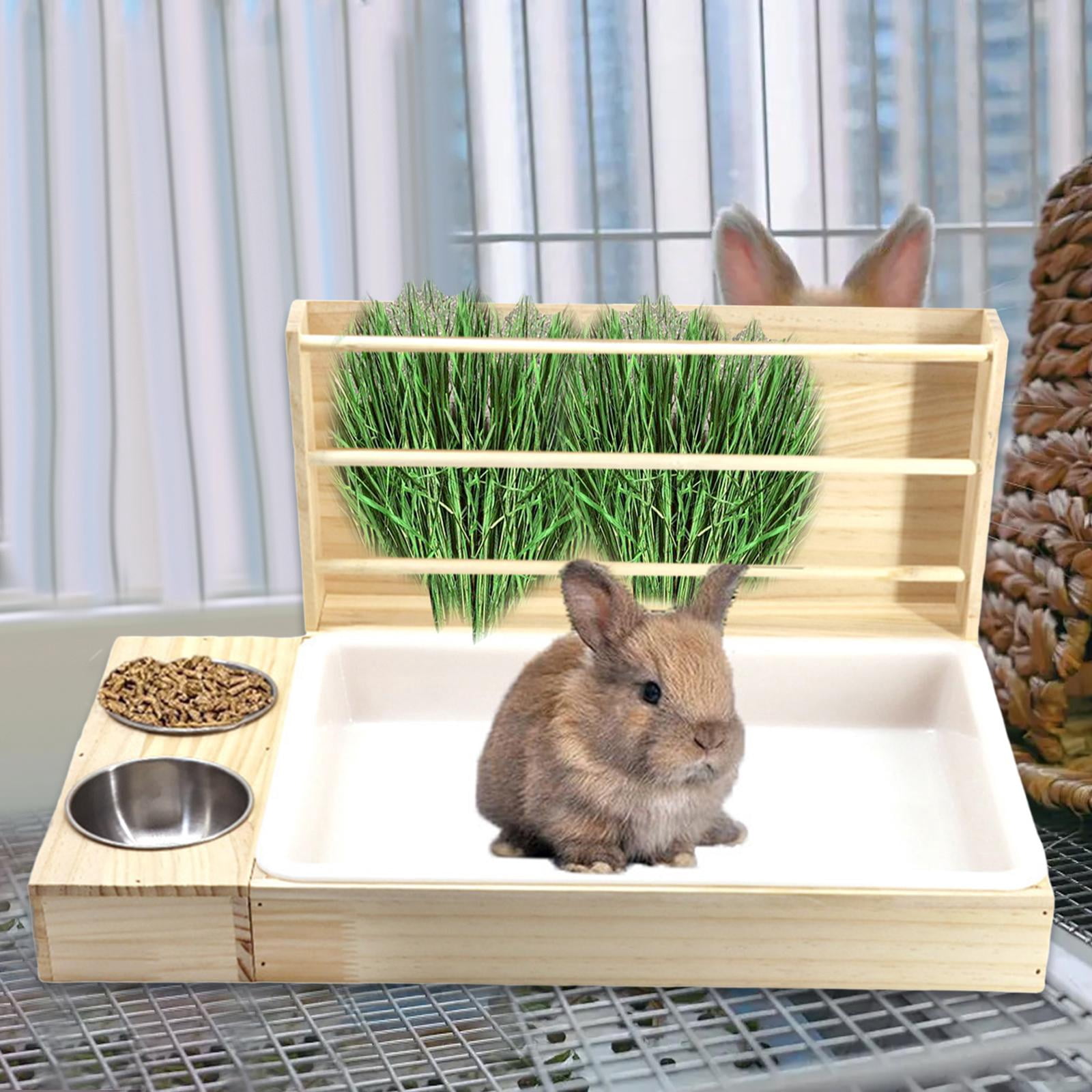 Zxpjkyu 3 in 1 Rabbit Hay Feeder Manger Easy to Clean Exercise Training Foraging Toy Hay