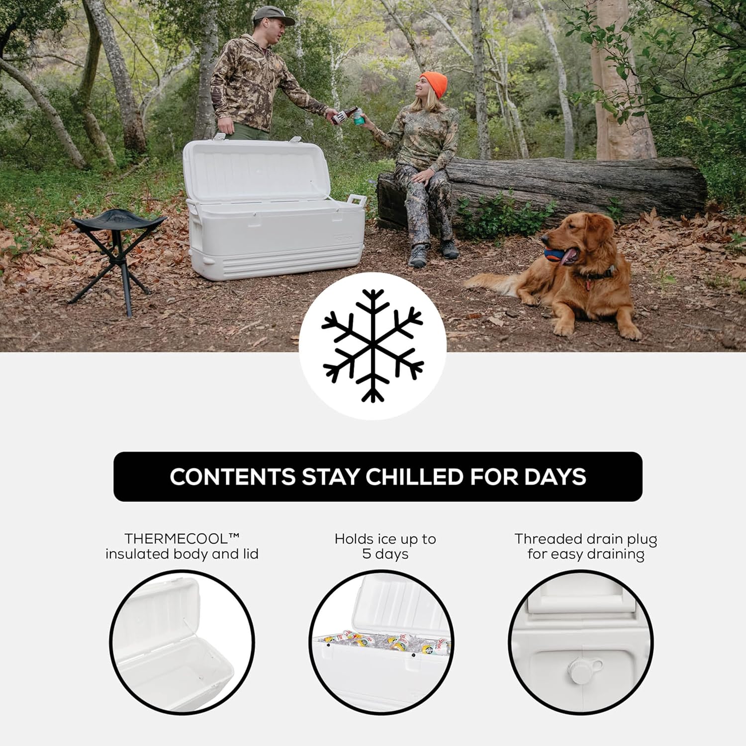 120 QT Insulated Hard Cooler, UV Resistant Portable Ice Chest for Camping