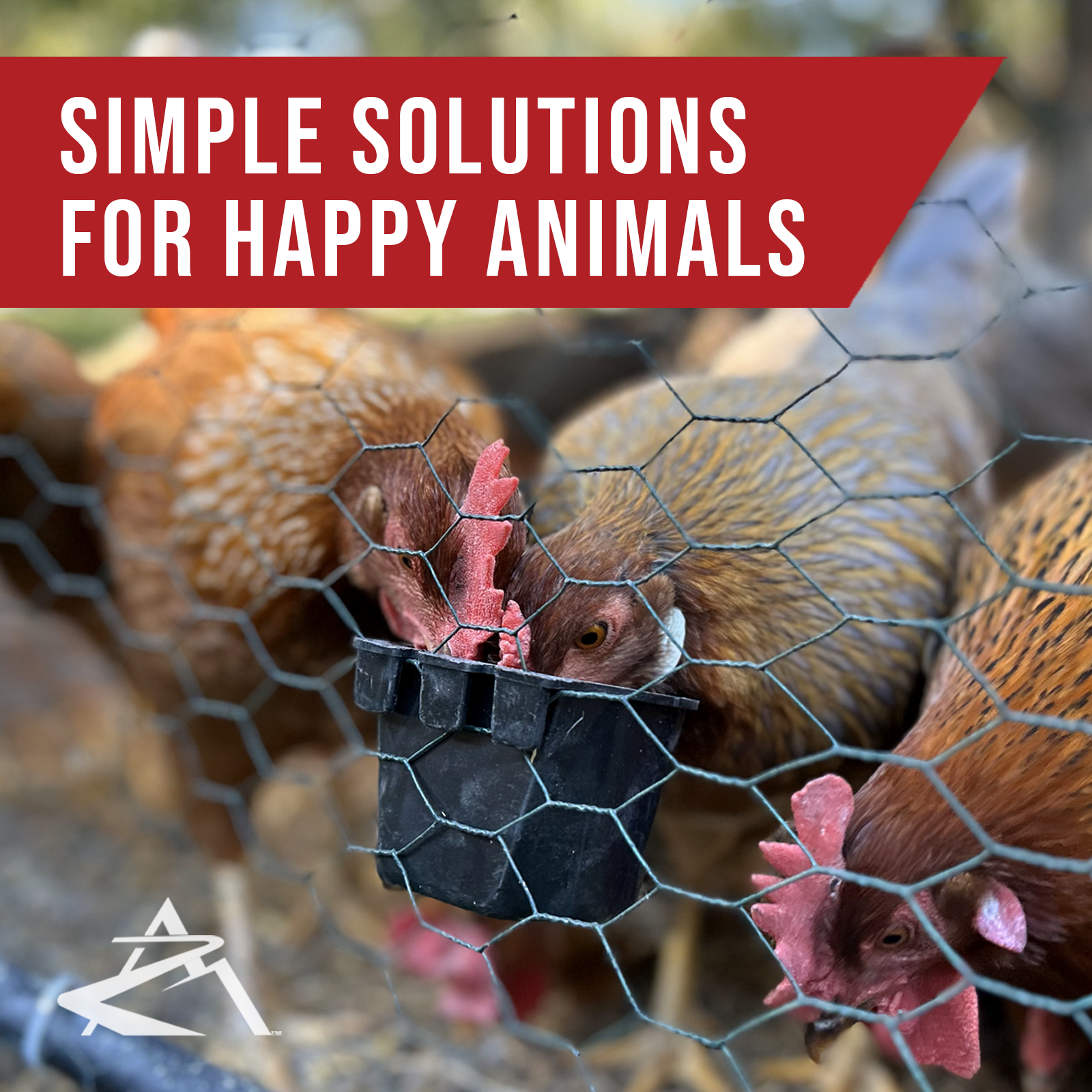Cage Cups (12 Pack) Hanging Feed & Water For Chickens Poultry - 1 Pint / 16 Fl Oz Each