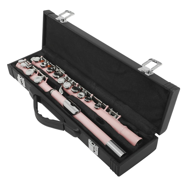 Dcenta 16 Keys C Flute for Beginners, Closed Hole, Pink with