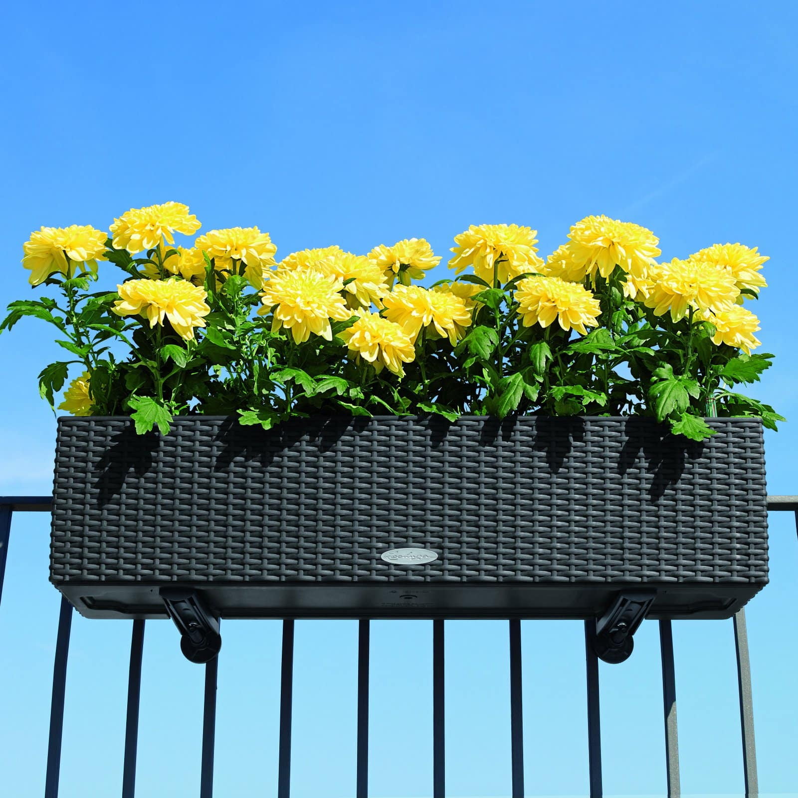 BALCONERA Cottage 80 Mocha, Self-Watering Window Box (Railing Planter), H7.5 L31.5 W7.5 in