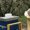 thumbnail image 4 of Houderco Accesorio Para Alimentación De Abejas Con Mantenimiento Sencillo Y Control De Humedad, 4 of 6