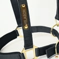 thumbnail image 3 of Small HILASON Western Horse Top Grade Nylon Comfortable & Flexible Halter, 3 of 3