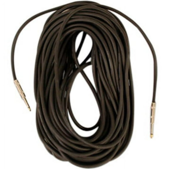 Seismic Audio FS10, 10 Foot 1/4" Speaker Cable