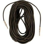 Seismic Audio FS10, 10 Foot 1/4" Speaker Cable