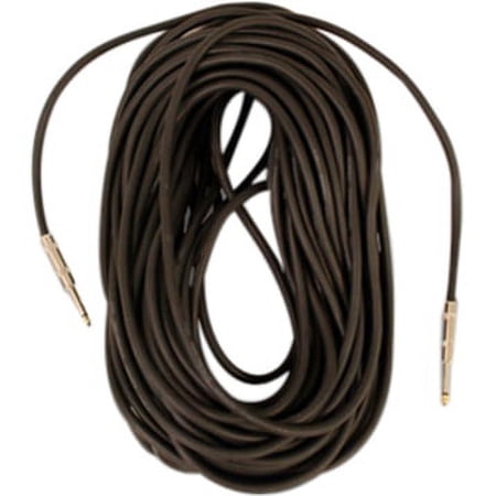 Seismic Audio FS10  10 Foot 1/4  Speaker Cable price history on PriceWatchPro