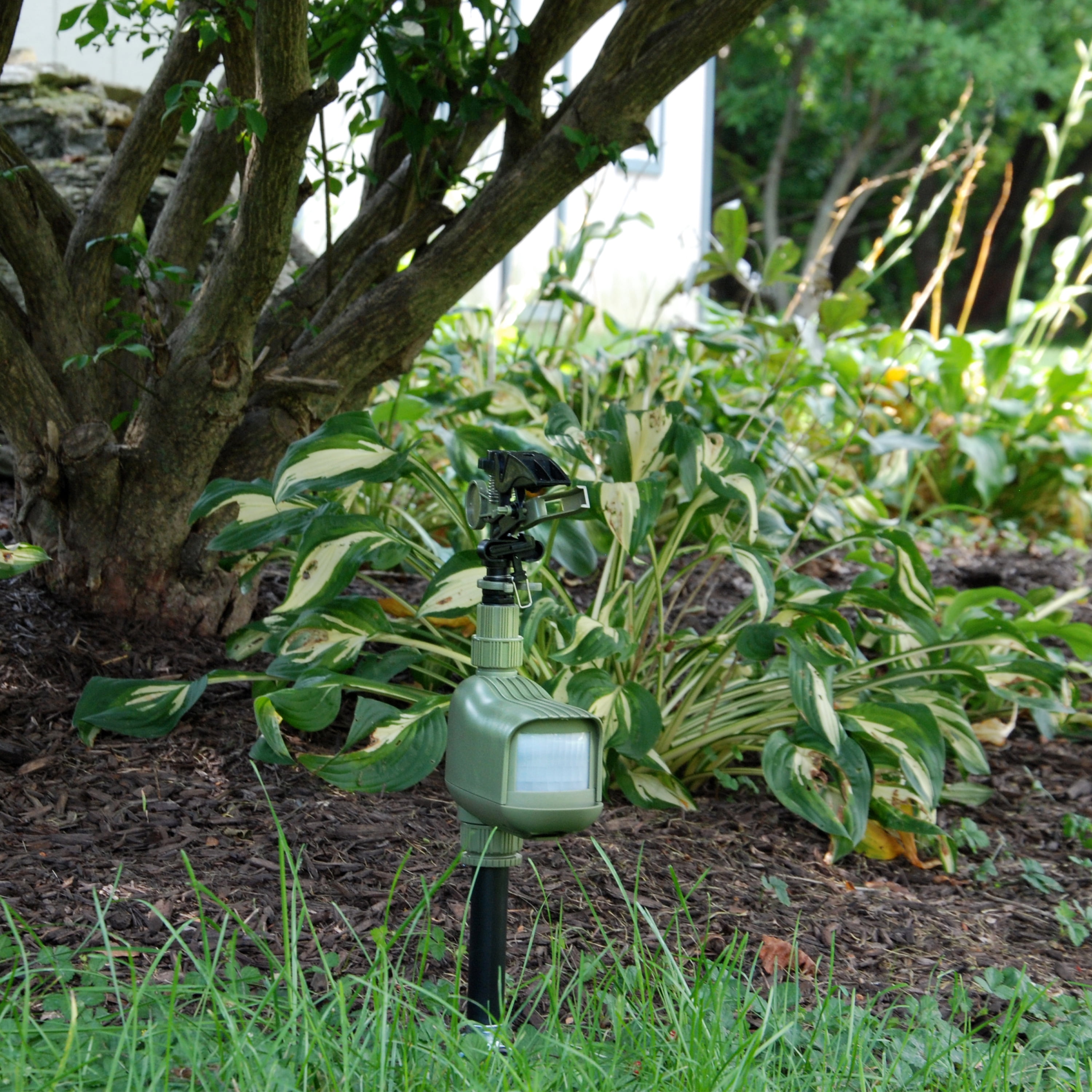 Critter Ridder Motion-Activated Animal Repellent & Sprinkler