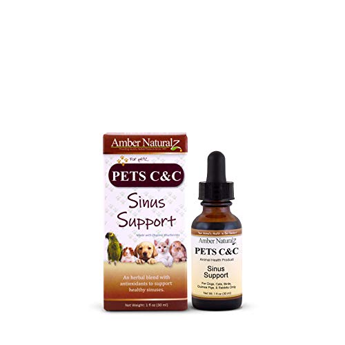 paxxin for dogs walmart