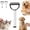 Black#2, variant on 2026 New Double Sided Dematting Comb for Cats & Dogs, Safe Deshedding Grooming Tool, Gentle Matt Remover Detangler for Long Thick Haired Pets(Black)