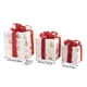 thumbnail image 3 of Hilo de farolillos navideños en modo de iluminación 8 - Caja de regalo en pack de 3 con 48 luces LED para decoración en casa, fiestas y fiestas, 3 of 9