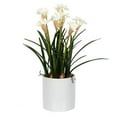 thumbnail image 1 of Vickerman FJ180301 16.5 in. White Daffodil in Ceramic Pot, 1 of 1