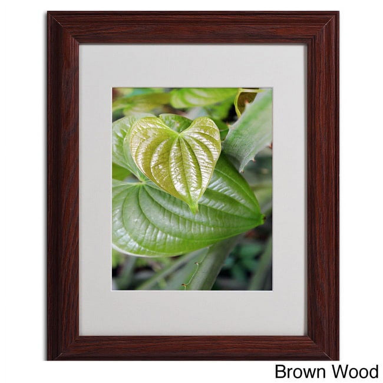 Trademark Fine Art "Natural Hearts" Matted Framed Art by Patty Tuggle, Black Frame