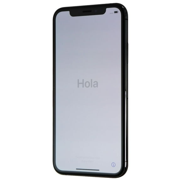 Pre-Owned Apple iPhone Xs - Carrier Unlocked - 256 GB Space Gray (Fair)