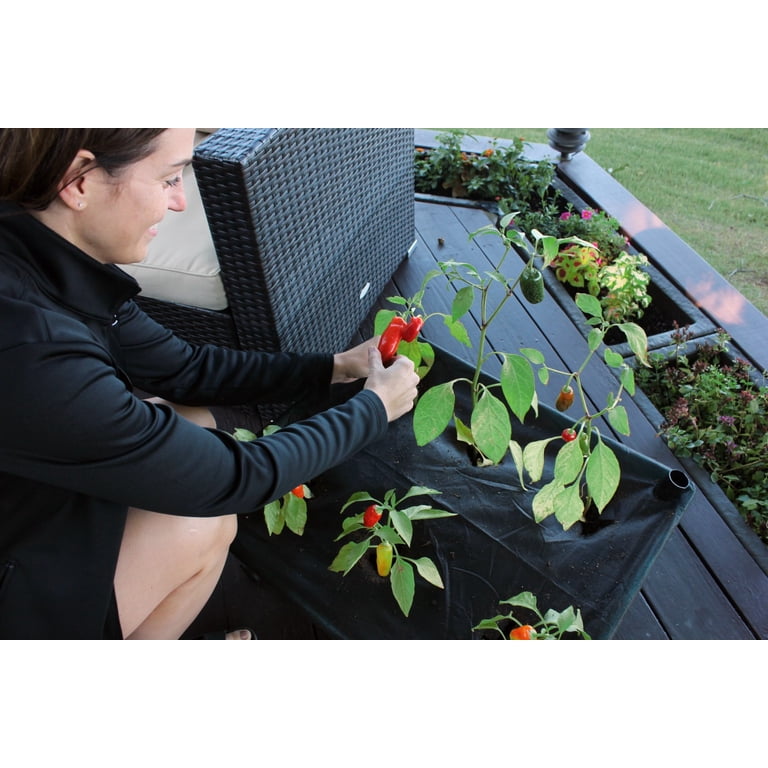 City Picker Patio Grow Box, Self-Watering with Mobile Casters photo 6