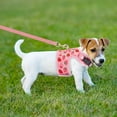 thumbnail image 2 of Cute Strawberry Print Princess Cat Kitten Harness and Leash Escape Proof Also for Dog and Rabbit Leash, 2 of 6