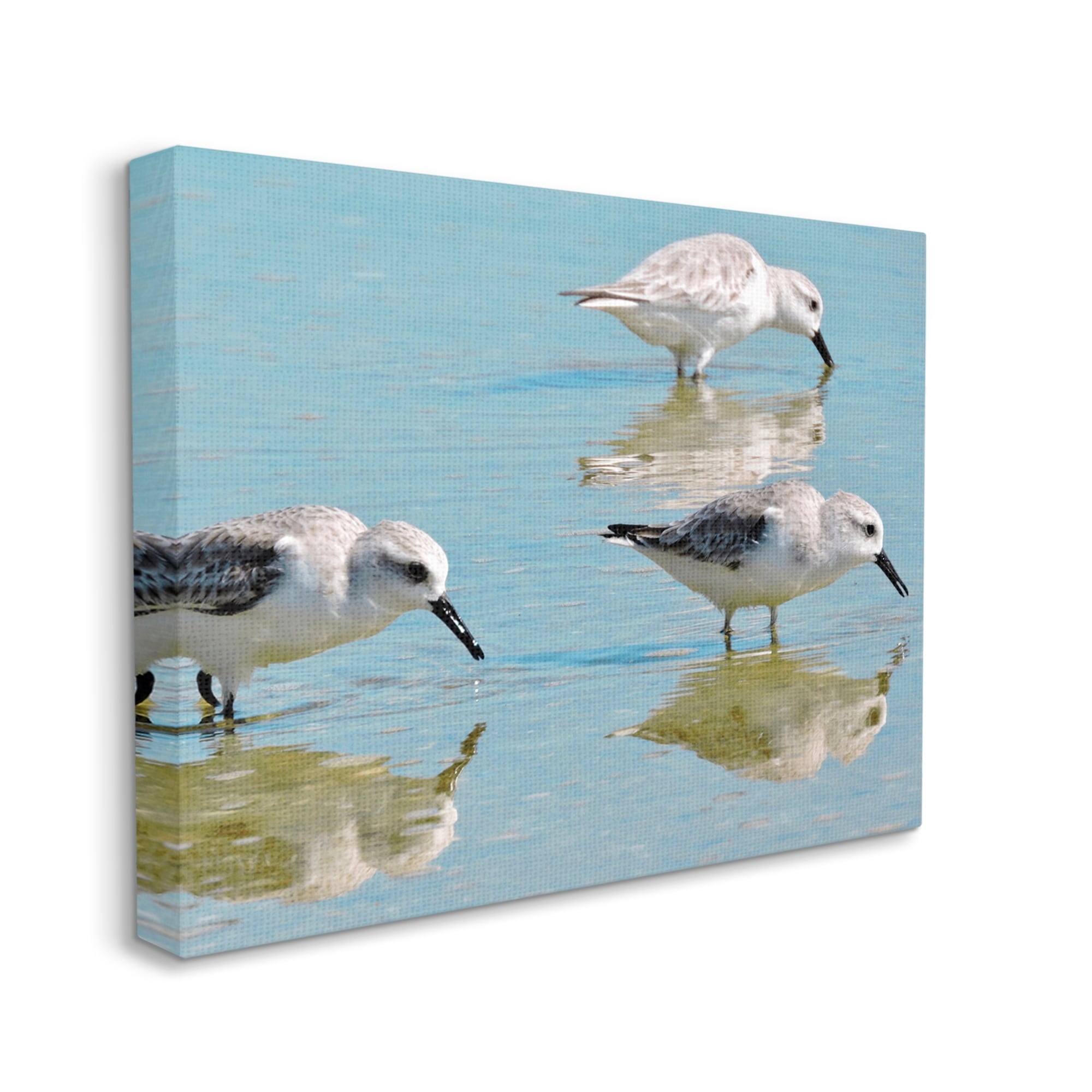 Stupell Industries Sandpipers Shallow Water Reflection Coastal Photography Gallery Wrapped Canvas Print Wall Art