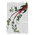 thumbnail image 2 of Fab Funky 25x32 Gold Ornate Wood Framed with Double Matting Museum Art Print Titled - Passion Flower Bird, 2 of 4