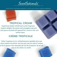 thumbnail image 3 of ScentSationals, Cubes de cire parfumés, Crème Tropicale, 3 of 4