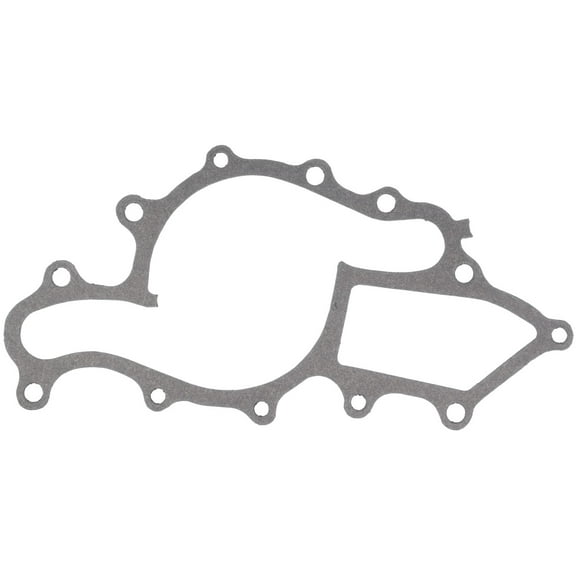 Mahle Water Pump Gasket