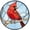 A #008, variant on Cardinal Stained Glass Window Hanging 7.9" - Cardinals Suncatcher Door Garden Sun Catcher Home Decor Christmas Birthday Gift for Women Men and Mom Friend