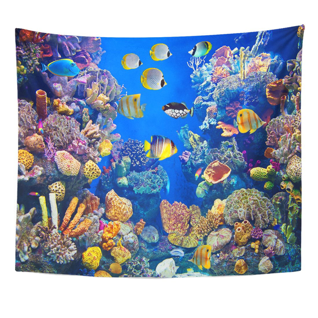REFRED Fish Colorful Aquarium Showing Different Fishes Swimming Sea ...