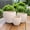 Gray, variant on Lazura Teal Lava Cement Planter Set, Textured Ceramic Indoor Outdoor Pots, Set of 3