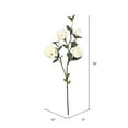 thumbnail image 3 of Vickerman 38" Cream Magnolia Artificial floral Stem, Set of 3, 3 of 4
