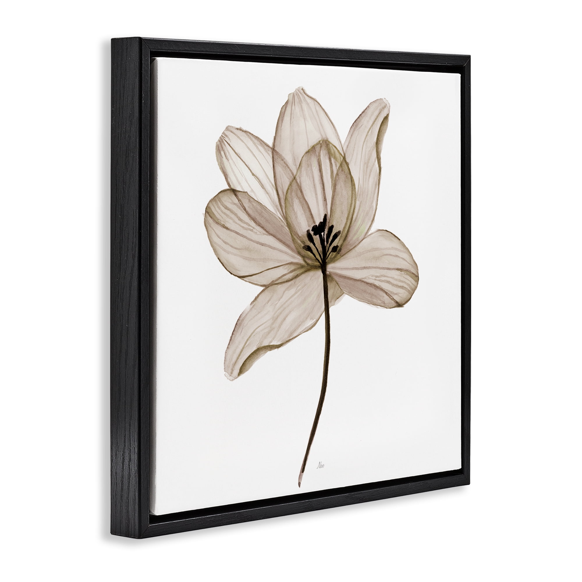 Stupell Industries Beige Opaque Flower Plants & Flowers Painting Black Floater Framed Canvas Art Print Wall Art, 18 x 18