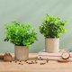 thumbnail image 5 of Gwong Decoración hogareña 1 Set Artificial Potted Plant Hermoso ecológico PVC Decoración de escritorio Simulación Potted Plant For Balcony Gwong 21067942, 5 of 6