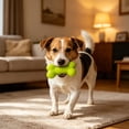 thumbnail image 6 of Interactive Silicone Puppy Teething Toy, Soft Chew Toy for Small Dogs & Cats, Soothes Sore Gums, Promotes Dental Health, Lightweight for Tug, Fetch, Indoor & Outdoor Play, 6 of 6