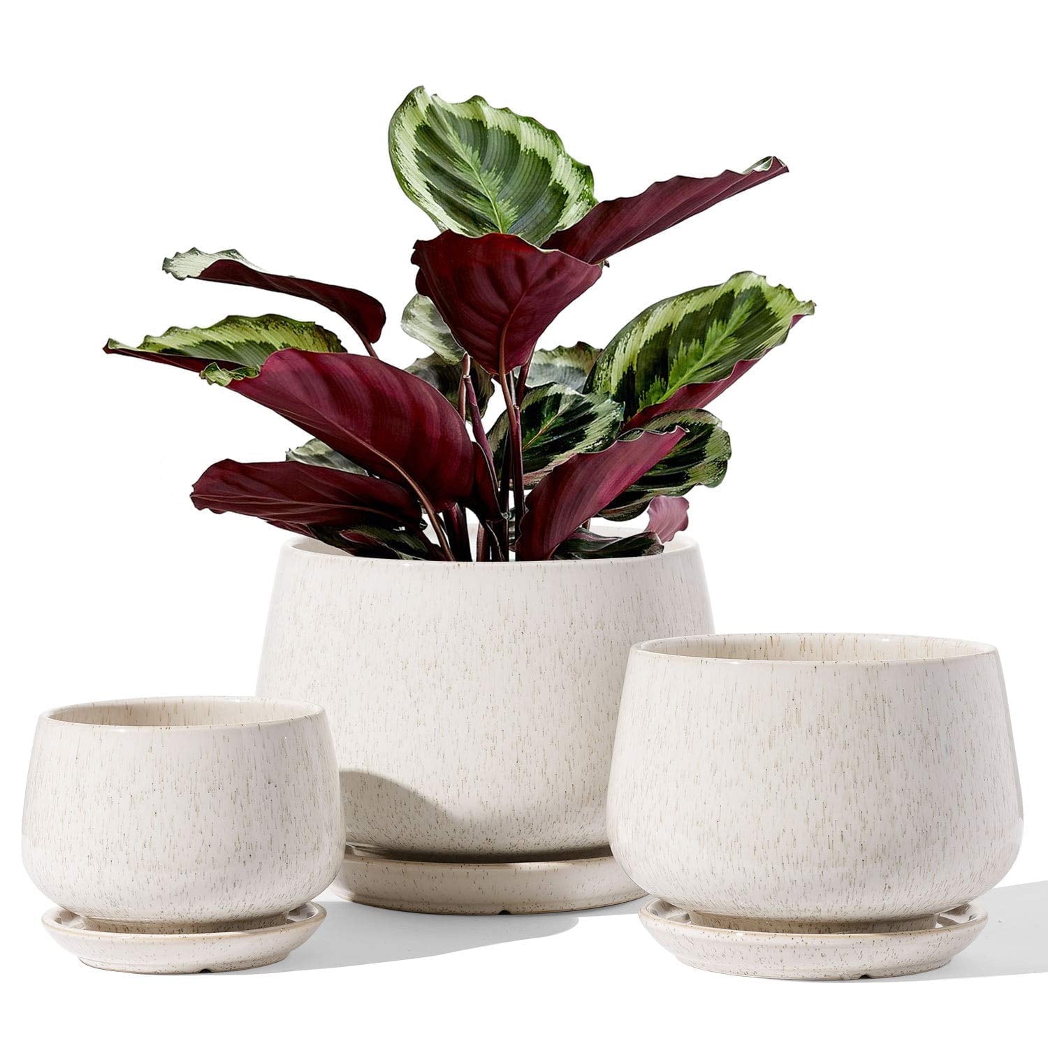 BEMAY Set of 3 Ceramic Plant Pots with Drainage Hole and Saucer, 4.1" 5.1" 6.5" Flower Pots, Indoor Outdoor Planters for Home Patio Garden Decor, Reactive Glaze Beige (Plants Not Included)
