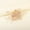Golden HS-J6299, variant on Bridal headwear handmade pearl metal flower hair clip, summer forest style high-end duckbill clip