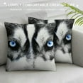 thumbnail image 3 of Autua Husky Blue Eyes Graphic Decorative Throw Pillow Cover for Home Couch Living Room Bed Sofa - Short Plush 1PC 22x22in, 3 of 5