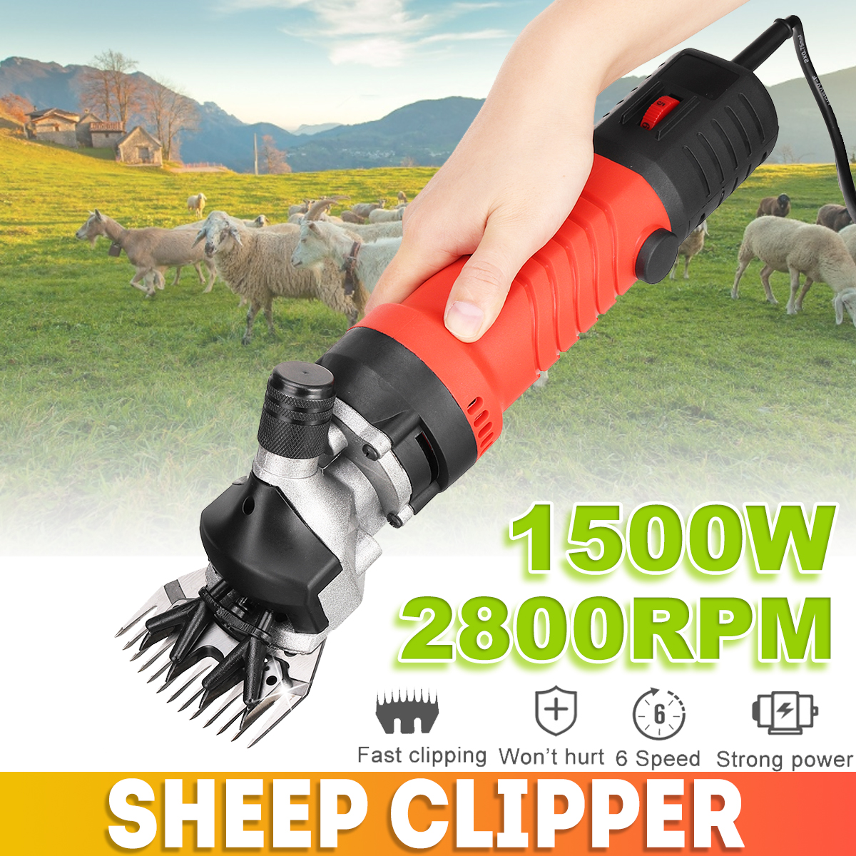 can sheep shears be used on dogs