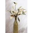 thumbnail image 2 of Murdock, Ramona 17x24 Black Ornate Wood Framed with Double Matting Museum Art Print Titled - Autumn Magnolias, 2 of 4