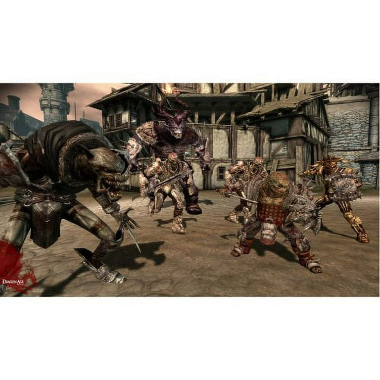 Dragon Age: Origins, Video Game