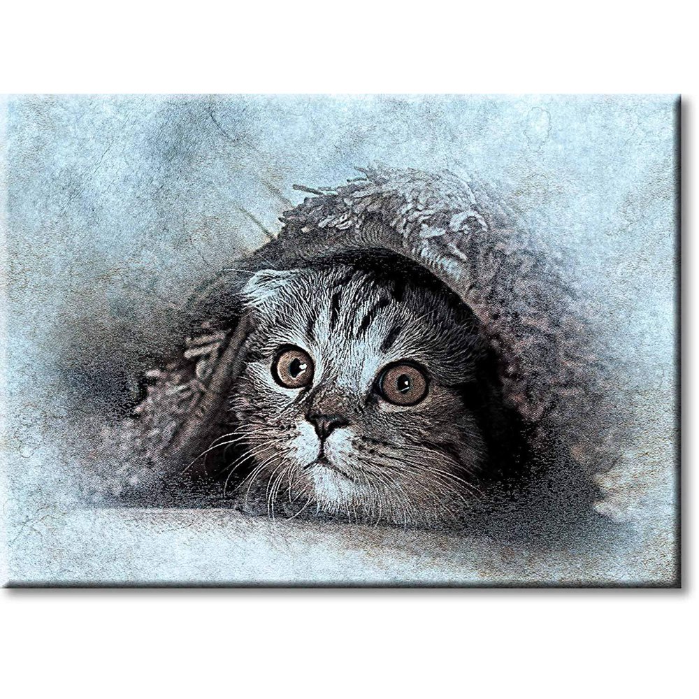 Cat Under the Rug Picture on Stretched Canvas, Wall Art Décor, Ready to Hang