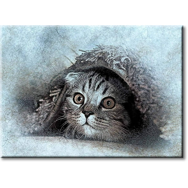 Cat Under the Rug Picture on Stretched Canvas, Wall Art Décor, Ready to