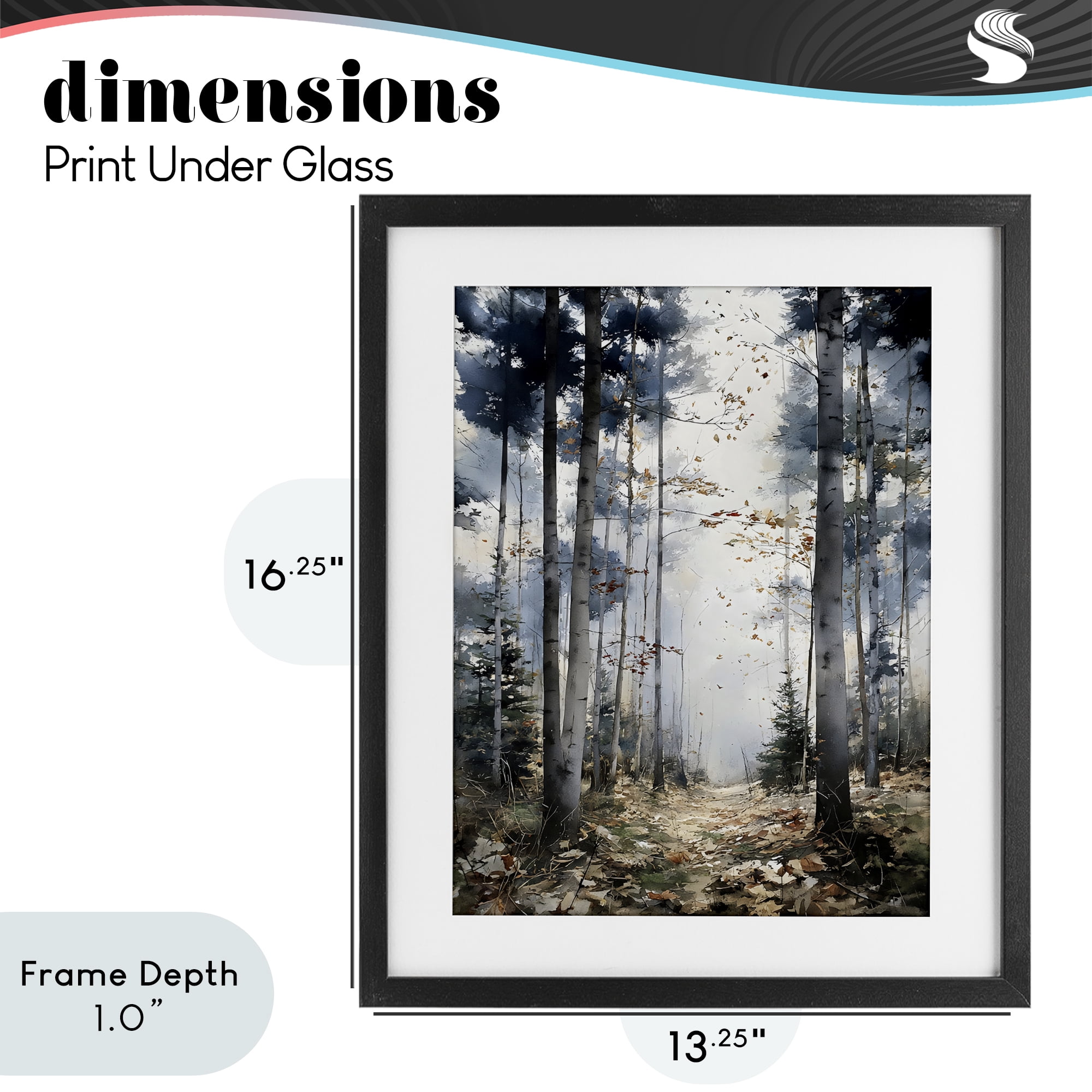 Stupell Industries Cold Woods Birch Forest Black Framed Print Under Glass, design by Franklyn Gregory